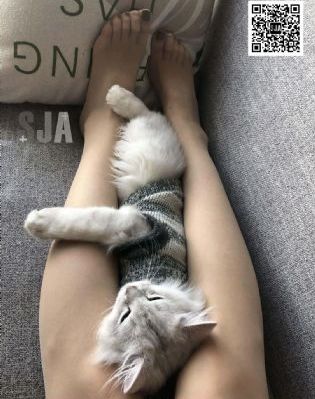 养成妺妺好紧h_2019国语AV首页